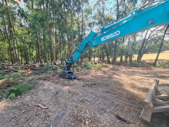 Paddock cleanup Paddock cleanup